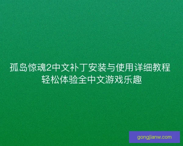 孤岛惊魂2中文补丁安装与使用详细教程 轻松体验全中文游戏乐趣
